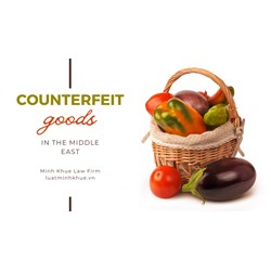 Middle East: The Situation of the Counterfeit Goods Market