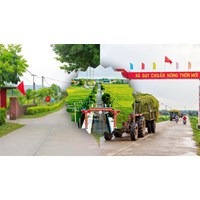 Kể về những đổi mới ở quê em chọn lọc hay nhất