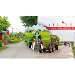 Kể về những đổi mới ở quê em chọn lọc hay nhất