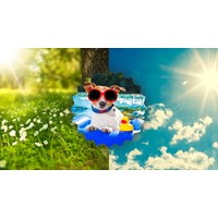 Biểu cảm về mùa hè chọn lọc hay nhất - Văn mẫu lớp 7