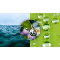 Kể lại những cuộc phiêu lưu kì thú của cuộc đời giọt nước hay nhất