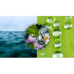 Kể lại những cuộc phiêu lưu kì thú của cuộc đời giọt nước hay nhất