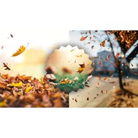Hãy tưởng tượng mình là một chiếc là và kể lại cuộc đời mình
