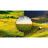 Tả cảnh buổi sáng trên nương rẫy chọn lọc hay nhất