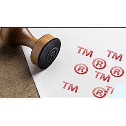 Công ty có quyền đăng ký bảo hộ nhãn hiệu nổi tiếng không?