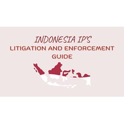 Your Guide to IP Litigation and Enforcement in Indonesia