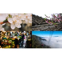 Đăng ký nhãn hiệu cho sản phẩm OCOP tại Lào Cai như thế nào?