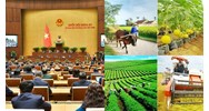Cơ chế, chính sách đặc thù thực hiện chương trình mục tiêu quốc gia