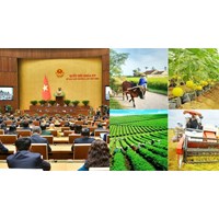 Cơ chế, chính sách đặc thù thực hiện chương trình mục tiêu quốc gia