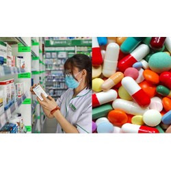 Các nguyên liệu làm thuốc được lưu hành trên thị trường Việt Nam