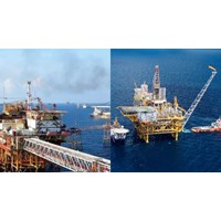 Những công việc tổ chức, cá nhân tiến hành hoạt động dầu khí phải thực hiện