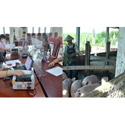 Những nguồn vốn nào mà hộ mới thoát nghèo được vay?