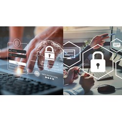 Quy định bảo mật thông tin người nộp thuế cập nhật mới nhất 2024