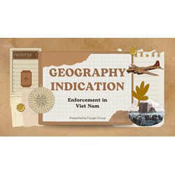 Geographical Indication Right Enforcement in Viet Nam