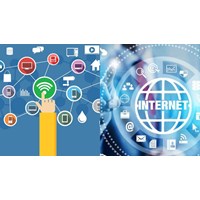Quyền của tổ chức sử dụng tài nguyên Internet có tên miền Việt Nam