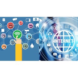 Quyền của tổ chức sử dụng tài nguyên Internet có tên miền Việt Nam