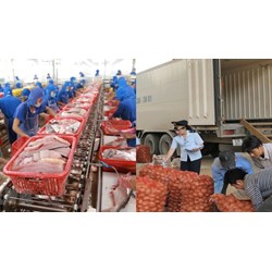 Nguyên tắc đánh giá nguy cơ khi nhập khẩu sản phẩm động vật