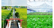 Ai được cho vay phục vụ phát triển nông nghiệp, nông thôn?