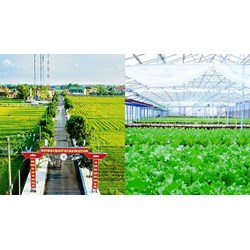 Ai được cho vay phục vụ phát triển nông nghiệp, nông thôn?