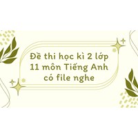 Đề thi học kì 2 lớp 11 môn Tiếng Anh có file nghe có đáp án