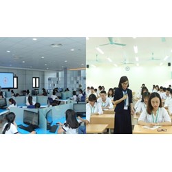 Nội dung Chuẩn cơ sở giáo dục đại học từ ngày 22/3/2024 bao gồm?
