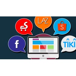 Cá nhân có được lập website cung cấp dịch vụ thương mại điện tử không?