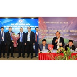 Thành viên Ban giải quyết khiếu nại Liên đoàn Bóng đá Việt Nam