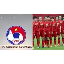 Thành viên của Ban kỷ luật của Liên đoàn Bóng đá Việt Nam có ai?