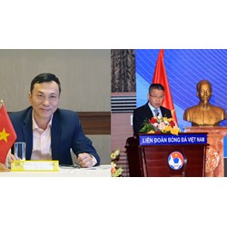 Khi nào Liên đoàn Bóng đá Việt Nam triệu tập Đại hội bất thường?