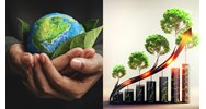 Cơ quan nào coi là đầu mối quốc gia thực hiện Nghị định thư Kyoto?