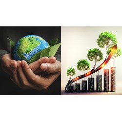 Cơ quan nào coi là đầu mối quốc gia thực hiện Nghị định thư Kyoto?