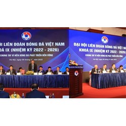 Nhiệm vụ, quyền hạn của Chủ tịch VFF do Đại hồi bầu là gì?