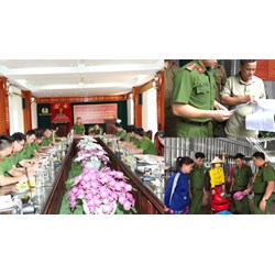 Khi nào lực lượng Cảnh sát phòng, chống tội phạm về môi trường kiểm tra đột xuất?