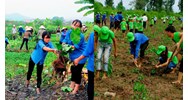 Những hoạt động bảo vệ môi trường nào được hưởng ưu đãi, hỗ trợ?
