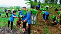 Những hoạt động bảo vệ môi trường nào được hưởng ưu đãi, hỗ trợ?