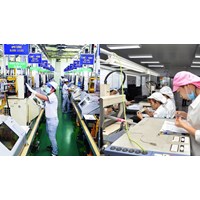 Có thực hiện thủ tục hải quan khi mượn máy móc giữa 2 doanh nghiệp chế xuất