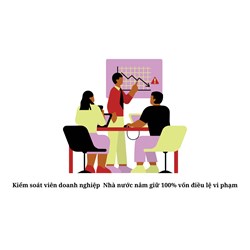 Kiểm soát viên doanh nghiệp Nhà nước nắm giữ 100% vốn điều lệ vi phạm