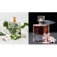 Sản xuất nước hoa thuộc ngành nghề đầu tư kinh doanh có điều kiện?