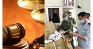 Ai thi hành biện pháp khắc phục hậu quả khi người vi phạm hành chính chết