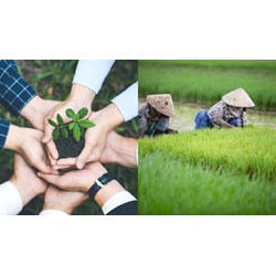 Thành viên hợp tác xã được cung cấp thông tin về những vấn đề gì?