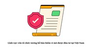 Lĩnh vực vốn tổ chức tương hỗ bảo hiểm vi mô được đầu tư tại Việt Nam