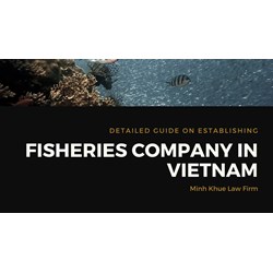 Detailed Guide on Establishing a Fisheries Company in Viet Nam