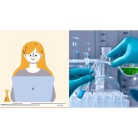 Nộp báo cáo tổng hợp tình hình hoạt động hóa chất online mới nhất?
