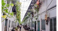 Bố trí các dự án nhà ở xã hội cho công nhân tại thành phố lớn
