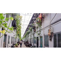 Bố trí các dự án nhà ở xã hội cho công nhân tại thành phố lớn