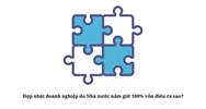 Hợp nhất doanh nghiệp do Nhà nước nắm giữ 100% vốn điều ra sao?
