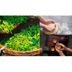 Đăng ký nhãn hiệu cho sản phẩm OCOP tại Yên Bái như thế nào?