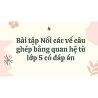 Bài tập Nối các vế câu ghép bằng quan hệ từ lớp 5 có đáp án