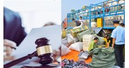 Tang vật bị tịch thu do vi phạm hành chính có được đấu giá không?