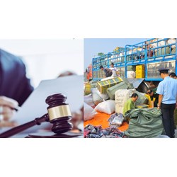 Tang vật bị tịch thu do vi phạm hành chính có được đấu giá không?